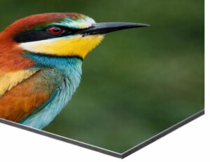 foto zonder een lijst